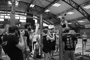 九游网页官网-“水上芭蕾与游泳较量：2025世界游泳锦标赛掀起观赛热潮”  第2张